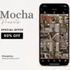 Mocha Presets
