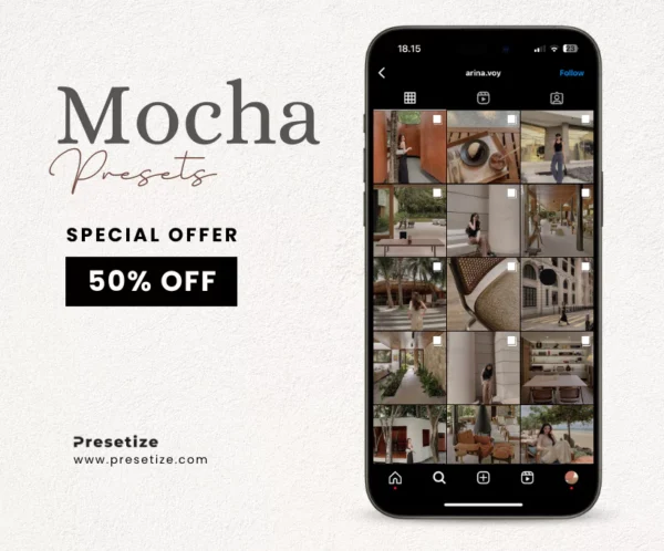 Mocha Presets