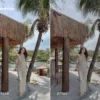 Mocha Presets
