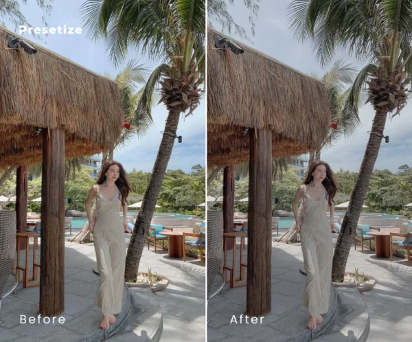 Mocha Presets