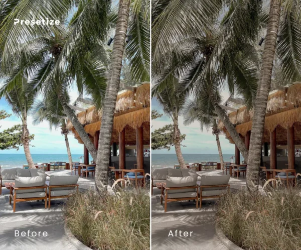 Mocha Presets