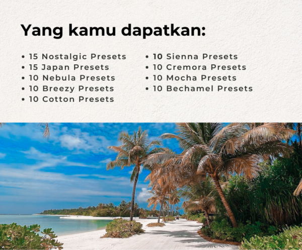 Presetize - All in One-2 All in One Presets