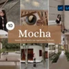 Mocha Presets