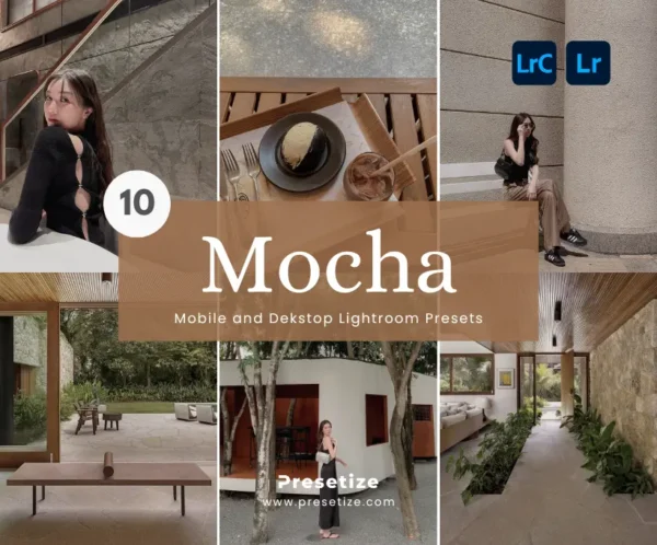 Mocha Presets